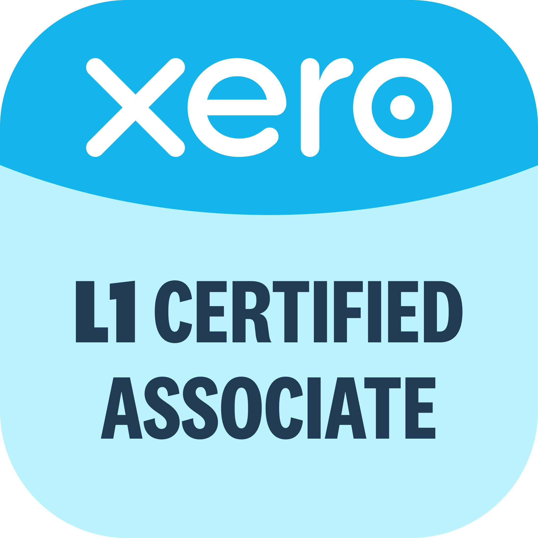 l1 certified associate